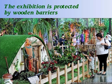 Exhibition The Enchanted Forest (70) Wooden barriers